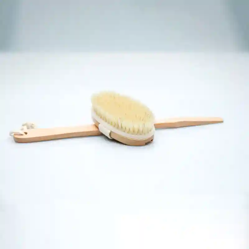Dry Brush for Cellulite and Lymphatic, Dry Brushing Body Brush Set Natural  Boar Bristles Exfoliating Back Scrubber with Long Handle Face Brush and